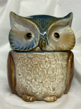 Ceramic Owl Decorative Jar in Blue and Brown